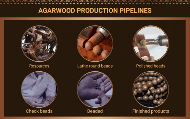 Agarwood Production Process