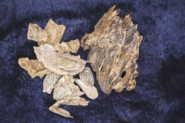 how to recognize real agarwood