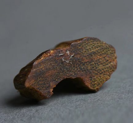 Color of Real Agarwood