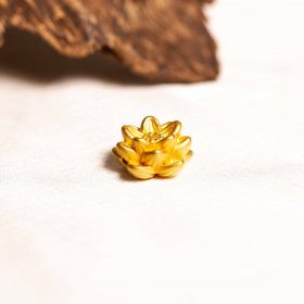 lotus golden charm
