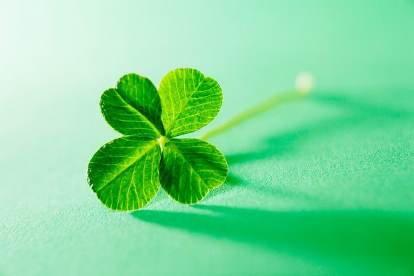 Four-Leaf Clover: The Spiritual Meaning of Finding a Four-Leaf Clover