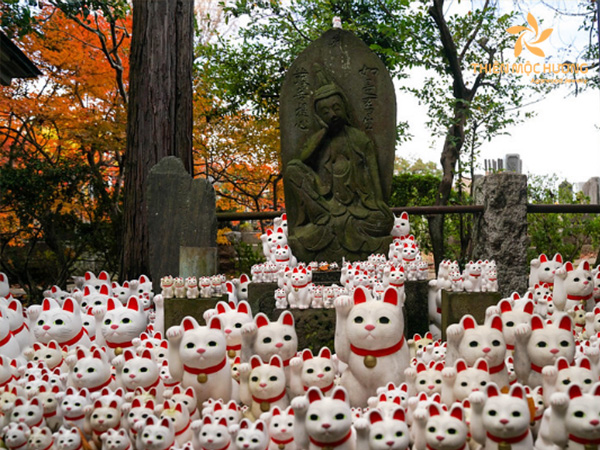 Lucky-cat-temple-in-japan