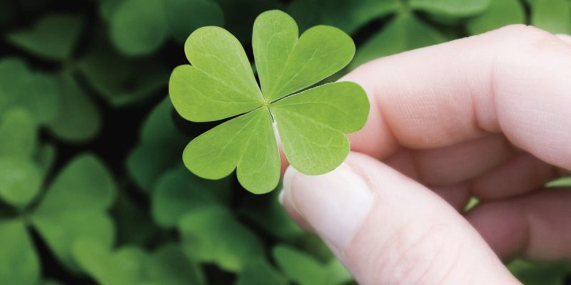 four clover leaf charm