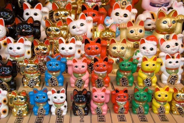 Lucky Cat - Knowing all The Significance to Attract Luck