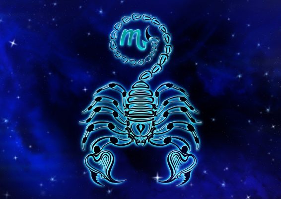 Overview of the zodiac sign of November