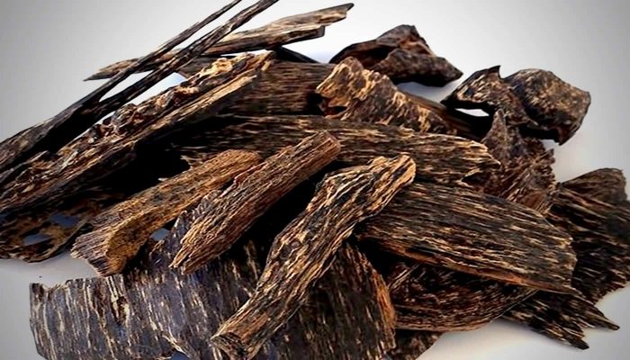 What is Agarwood - 4 popular types of Agarwood