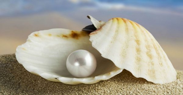 Not only delicate jewelry for women, but pearls are also a gift that brings happiness with the meaning of good luck and good fortune