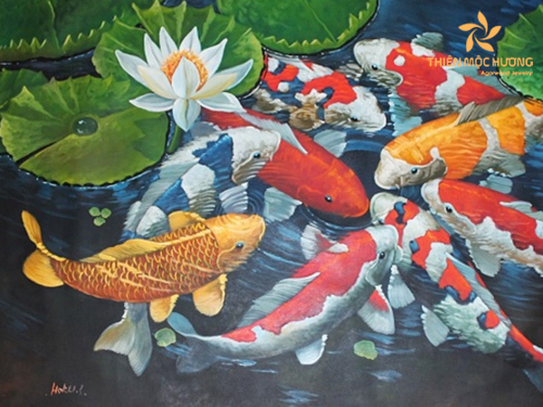 What is a koi fish - Thien Moc Huong