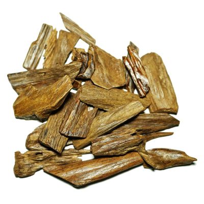 the cultivated agarwood 