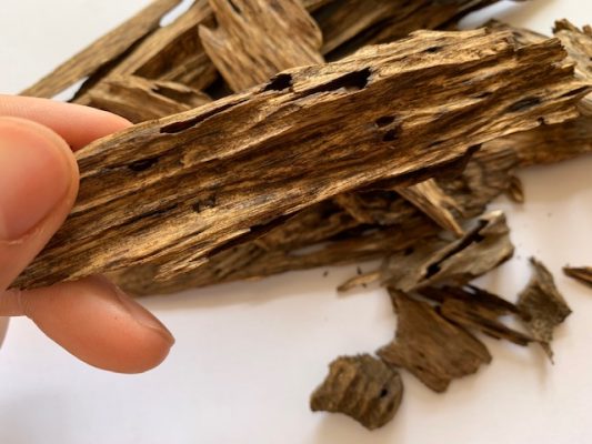 cultivated-agarwood