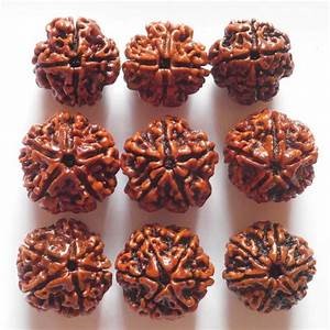 Rudraksha beads in many sizes