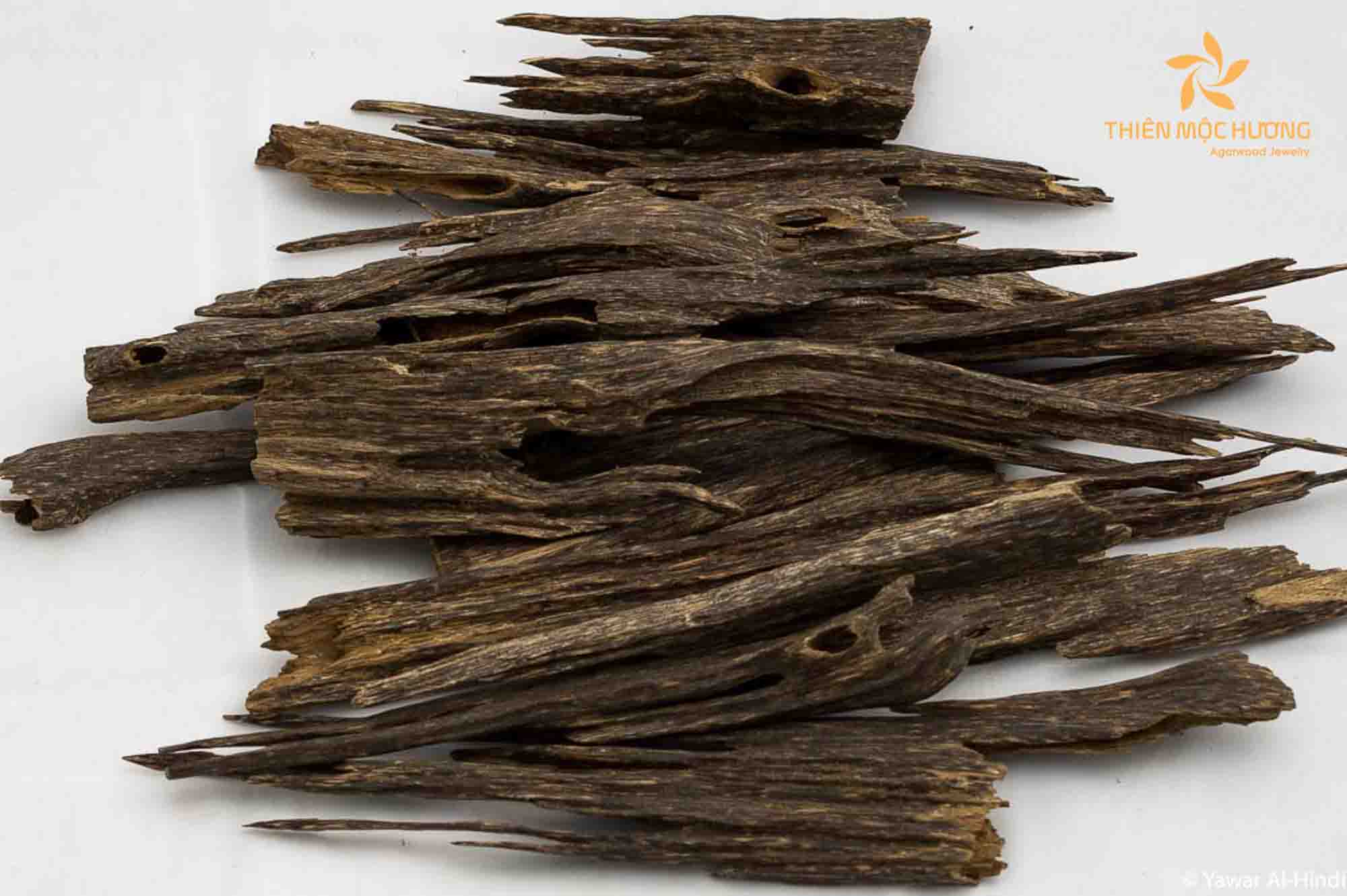 Indicana Oud - Best store to buy Agarwood in China