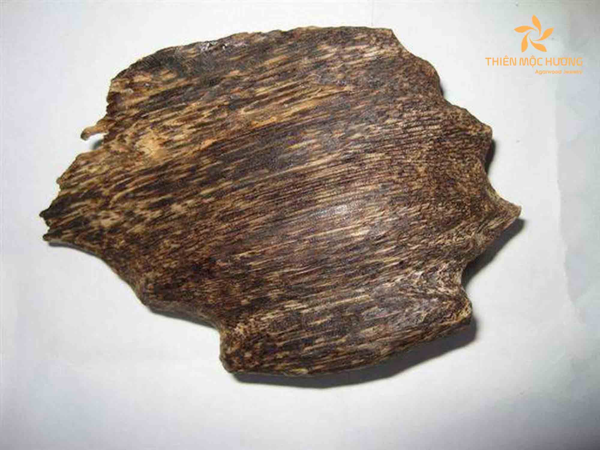 Agarwood can be used for a number of different purposes, including making incense, perfume, and even medicine.