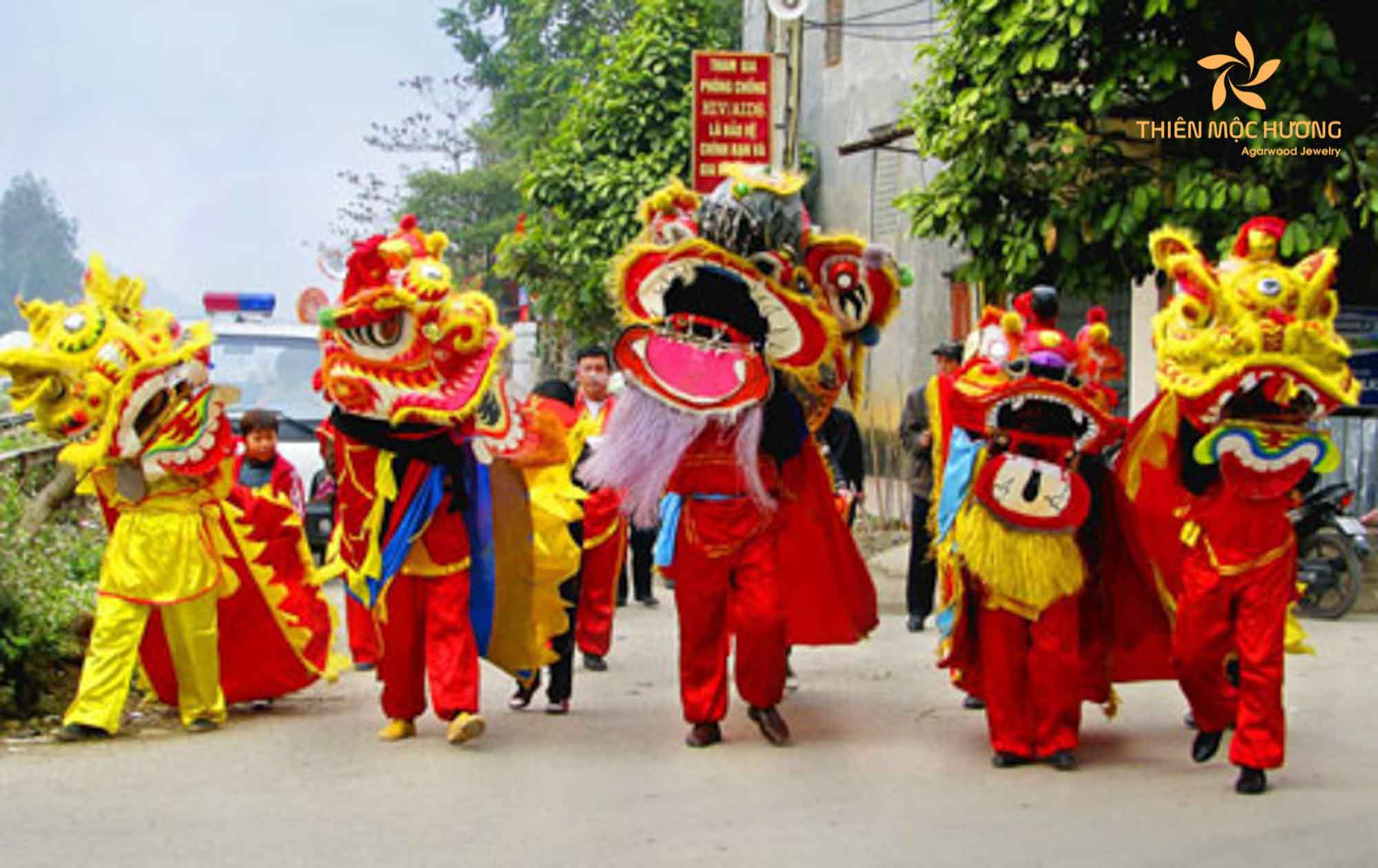 Lion dance - Activities Mid-autumn festival
