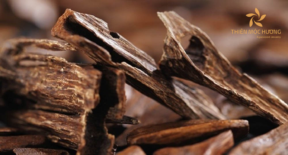 Feng Shui Practices Enhanced by the Presence of Agarwood