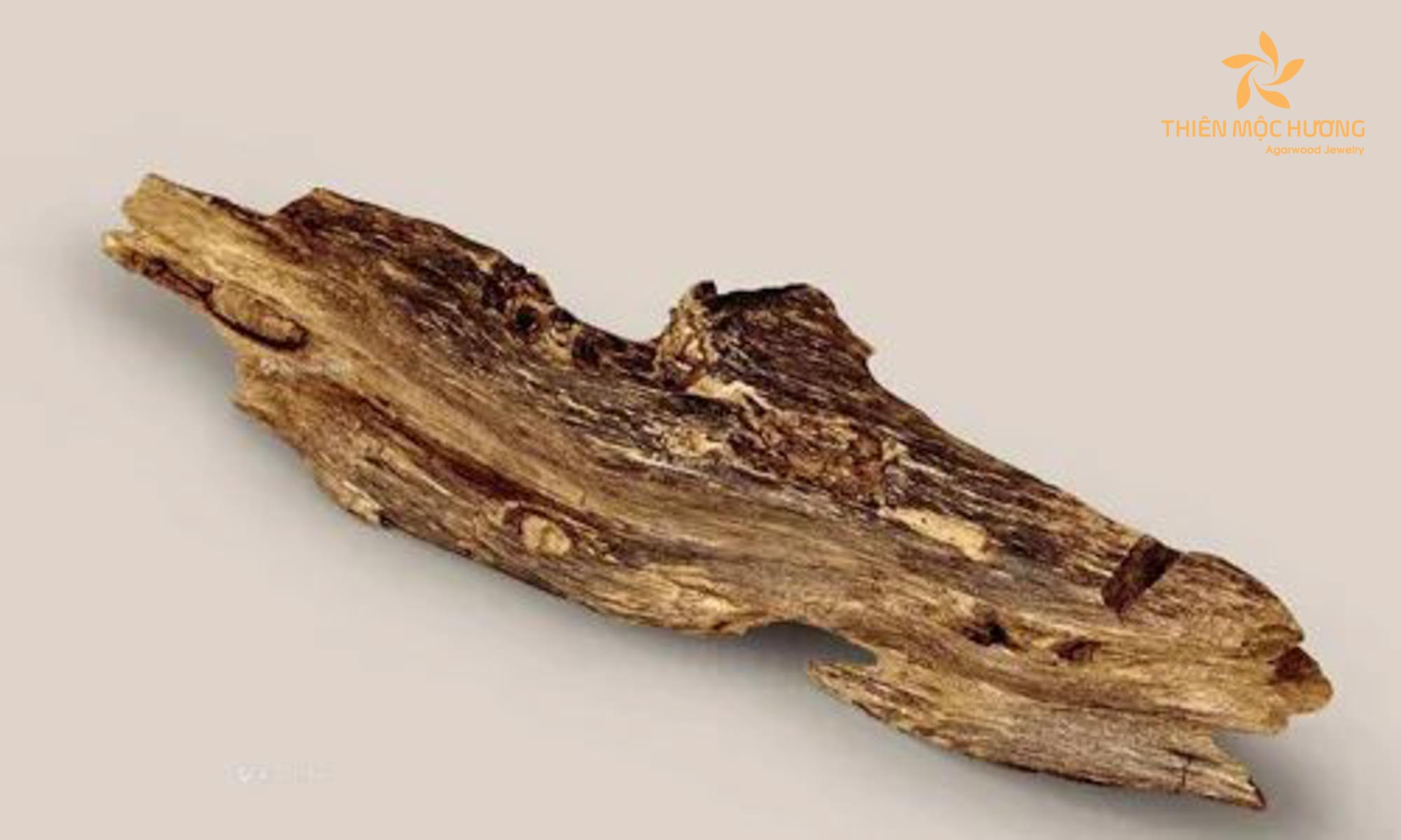Scientific studies and evidence about healing properties of Agarwood