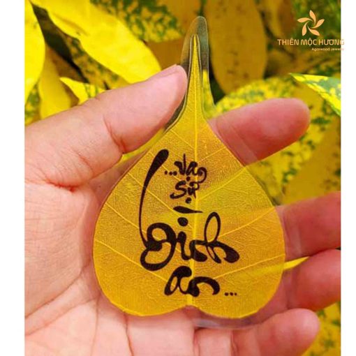 Usage of Bodhi Leaf