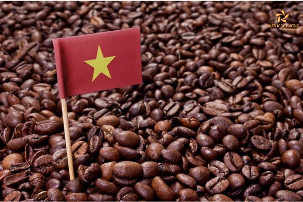 Coffee - Practical souvenirs from Vietnam